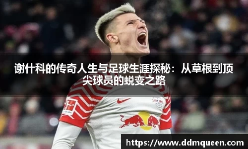 谢什科的传奇人生与足球生涯探秘：从草根到顶尖球员的蜕变之路