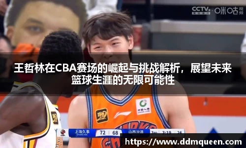 王哲林在CBA赛场的崛起与挑战解析，展望未来篮球生涯的无限可能性
